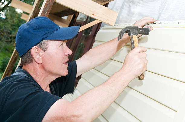 Best Stucco Siding  in Swedesboro, NJ