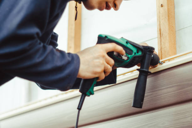 Best Vinyl Siding Installation  in Swedesboro, NJ